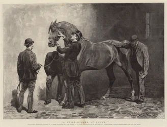 Ein Preisträger, wenn gesund